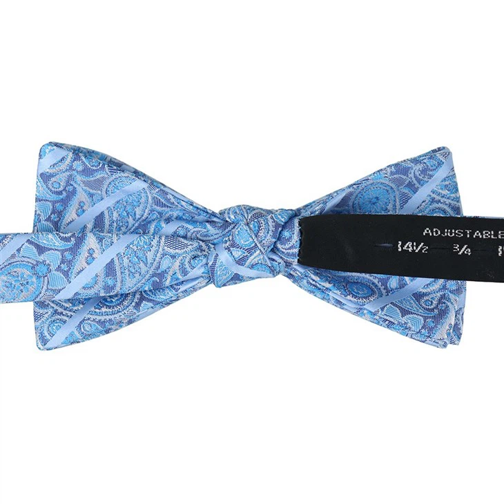 paisley pattern bow tie