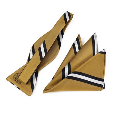 Mens  Bow Tie Gift Set